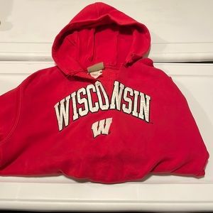 Wisconsin Hoodie with V-neck